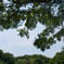 photo_2354661