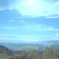 すすきと相模湾