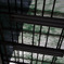 through the roof