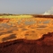 Dallol volcano