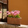 stagione della fioritura ２