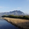 由良川（京都美山）