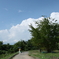 道木空雲