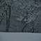 -6℃