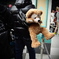 Duffy