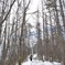雪山