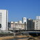 残すもの、増やすもの