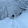 雪と戯れる