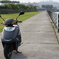 我が愛車