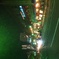 夏の夜の散歩