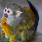 宇都宮動物園6