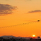 夕焼こやけ