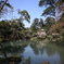 庭園