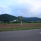 田舎には