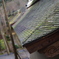 龍安寺