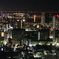 六甲山　ヴィーナズブリッジより