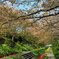 DSC_7803花の競演