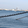 photo_2372170