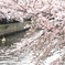 623確定版ﾀﾞ-中区