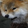 どこ行くの？
