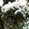 融解と降雪の循環