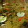 photo_2372931