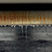 A small icicle family