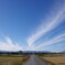 雲が走ってる