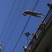 dive1