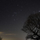 orion