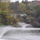 井の頭公園