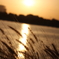 Creek in Dubai 2