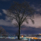 DSC_0124-2-Edit-2s