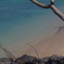 海