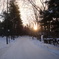 photo_2382437