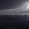 clair de lune/月光