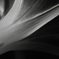 Insistence
