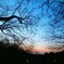 大倉山から見た２月の夕景色＊