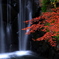 横浜市最大瀑布「白糸の滝」