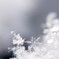 雪の結晶