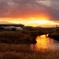 鶴見川の夕景
