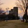 根岸森林公園