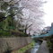 相沢川ウォーク