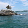 photo_238766