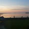 photo_238771