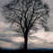 DSC_1495-Edit