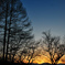 夕暮れ