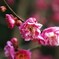花粉の予感