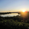 photo_239040