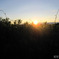 OnedayStart